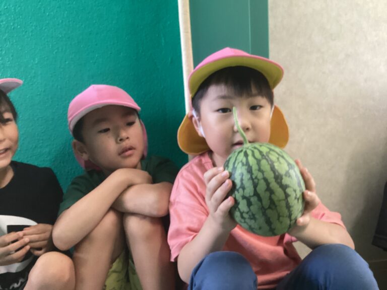 つきぐみ(5歳児) ついに収穫しました♪🍉